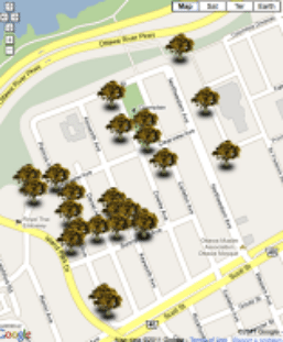 This map shows all the oak trees in the Champlain Park neighbourhood that pre-date confederation (1867)