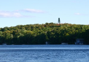 In today's Muskoka, cell phone towers are disguised as trees.  Photo by Erin Morawetz