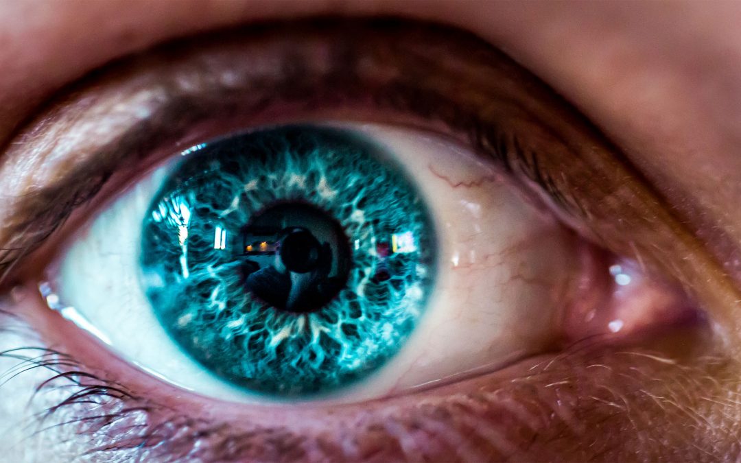 Within sight: How scientists aim to return vision to the blind