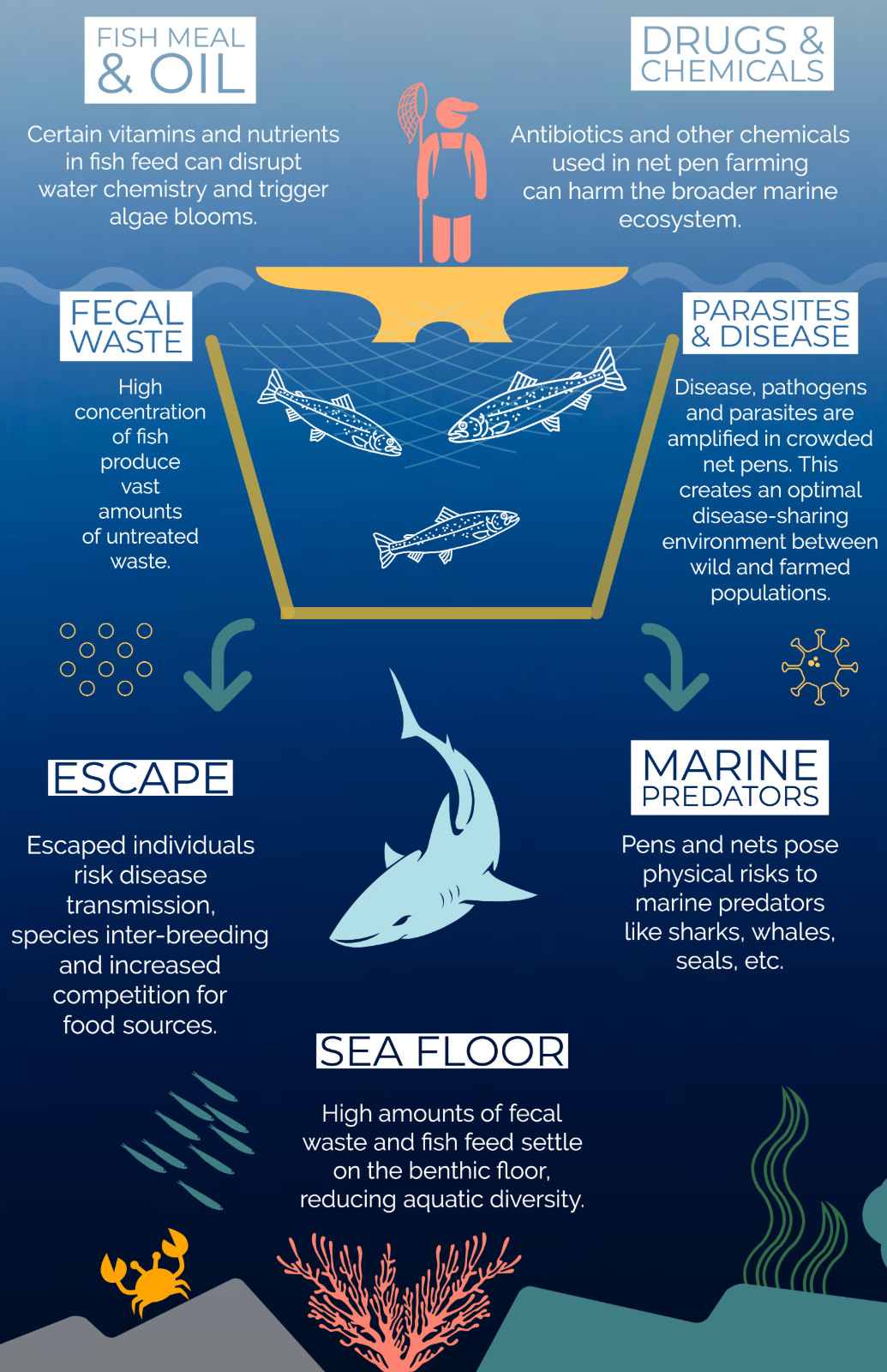 Is there a problem with salmon farming?