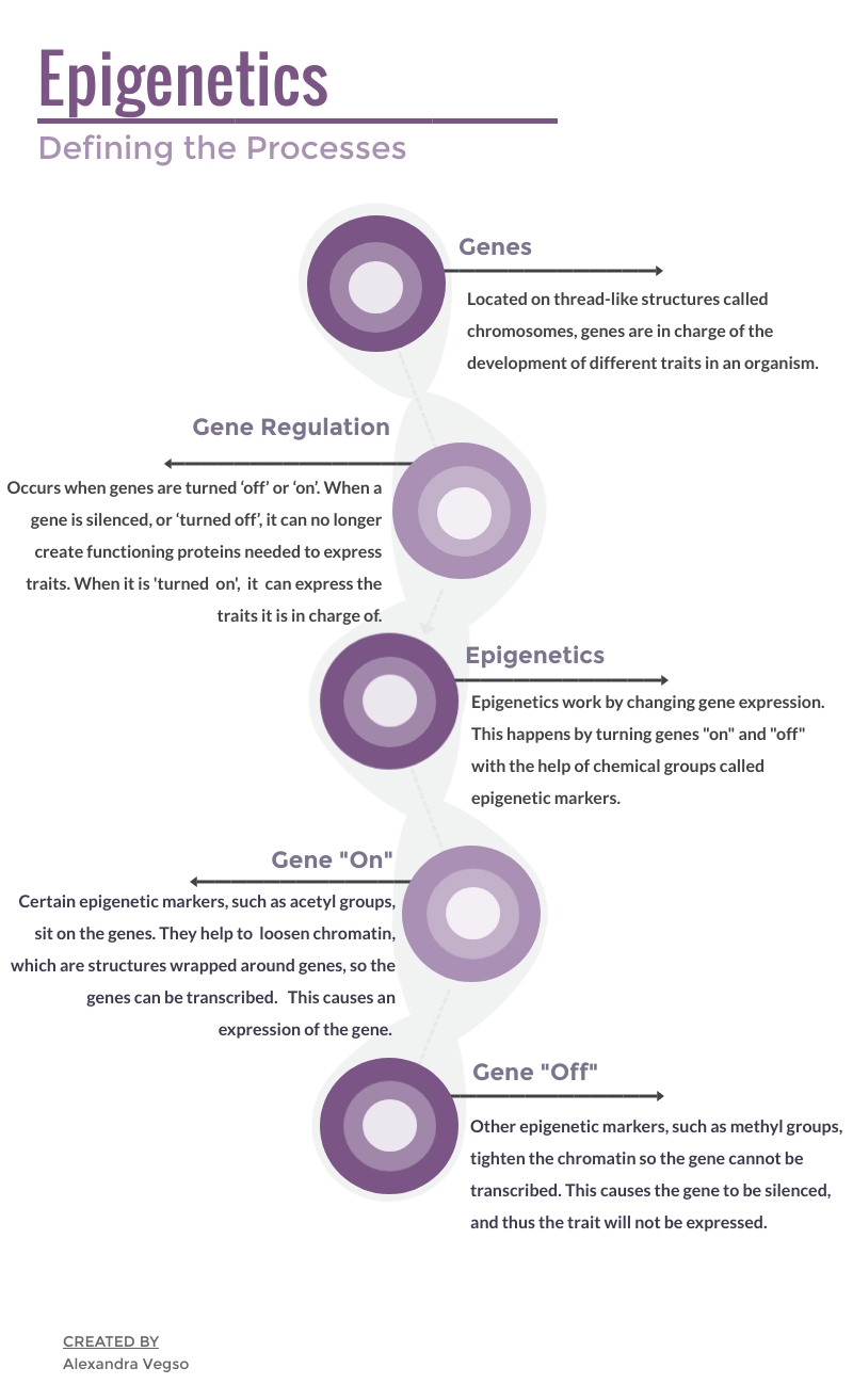 intergenerational trauma dna