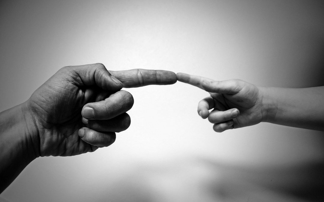 Passing down history: How epigenetics play a role in the transmission of trauma