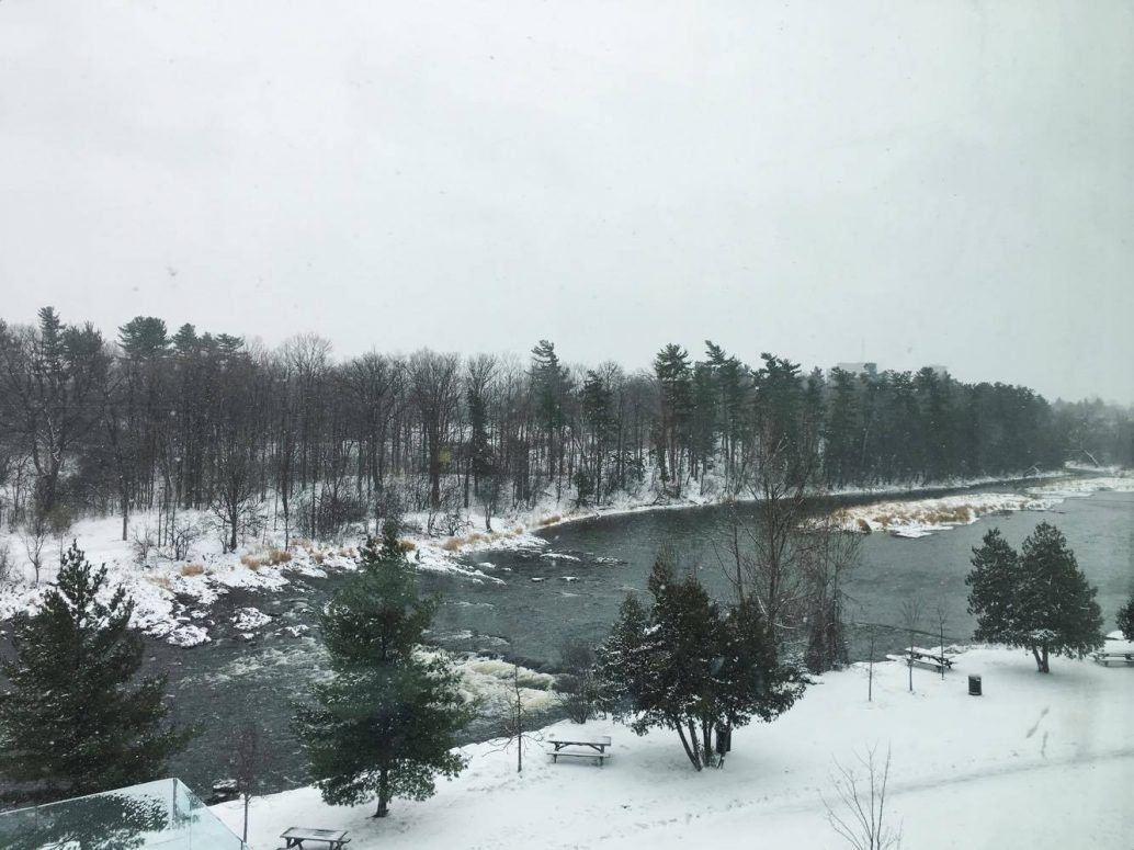 It’s #Snowvember in Ottawa!