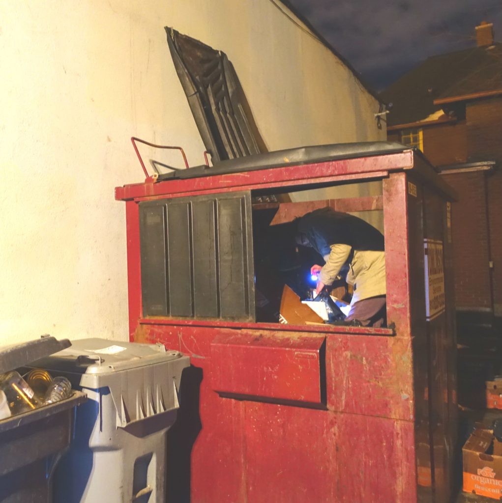 From Dumpster to Dinner Dumpster Diving in Ottawa The Finch