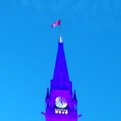Ottawa activists turn the city purple to end violence against women