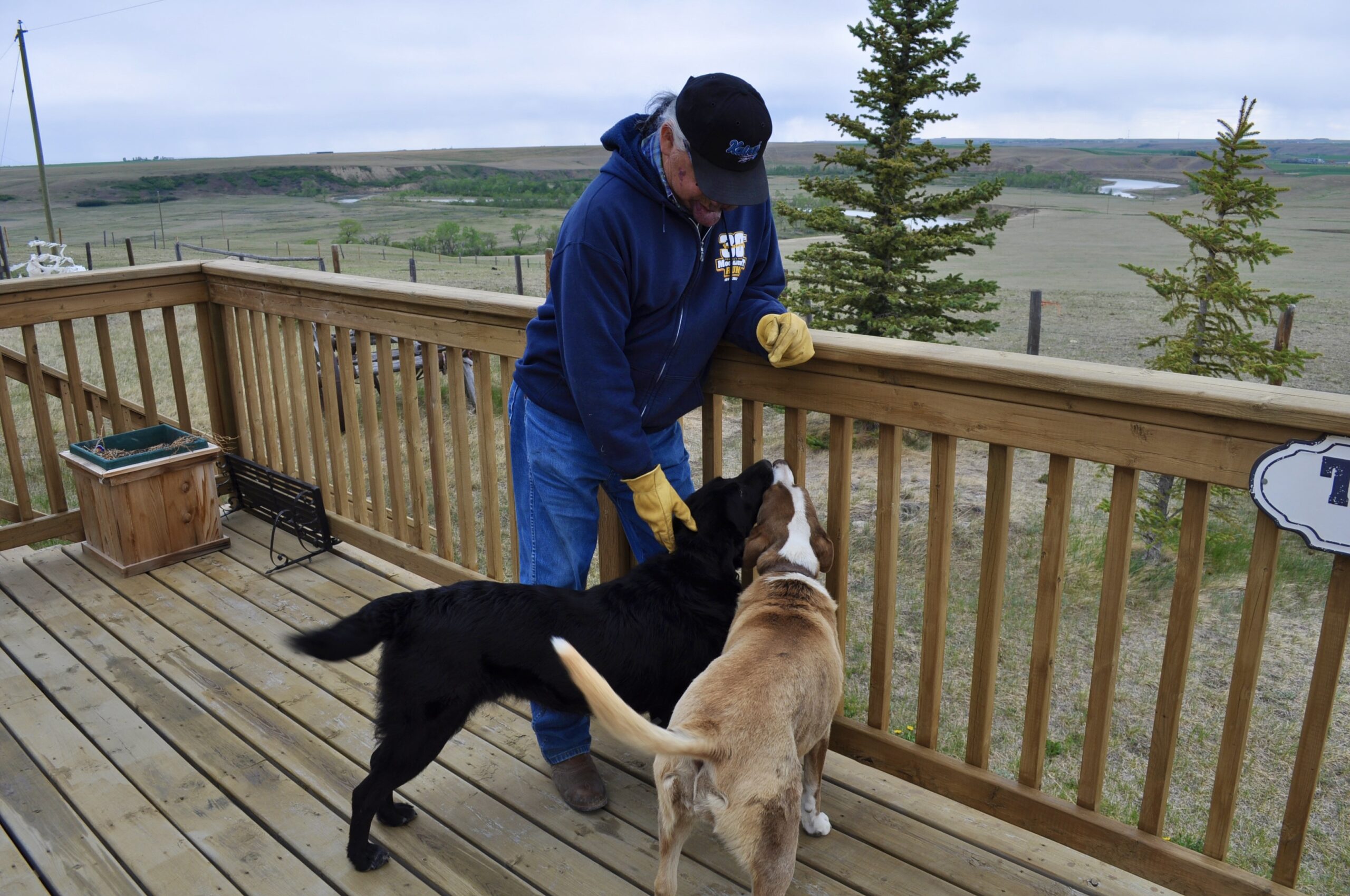 Mike Bruised Head looks out onto the Oldman River with his two dogs from his home on the Blood Reserve.