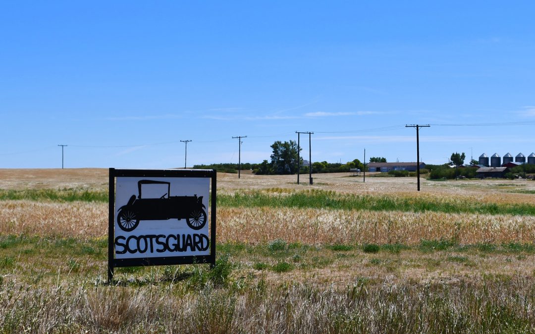 Chapter 2: The museum in a wheat field