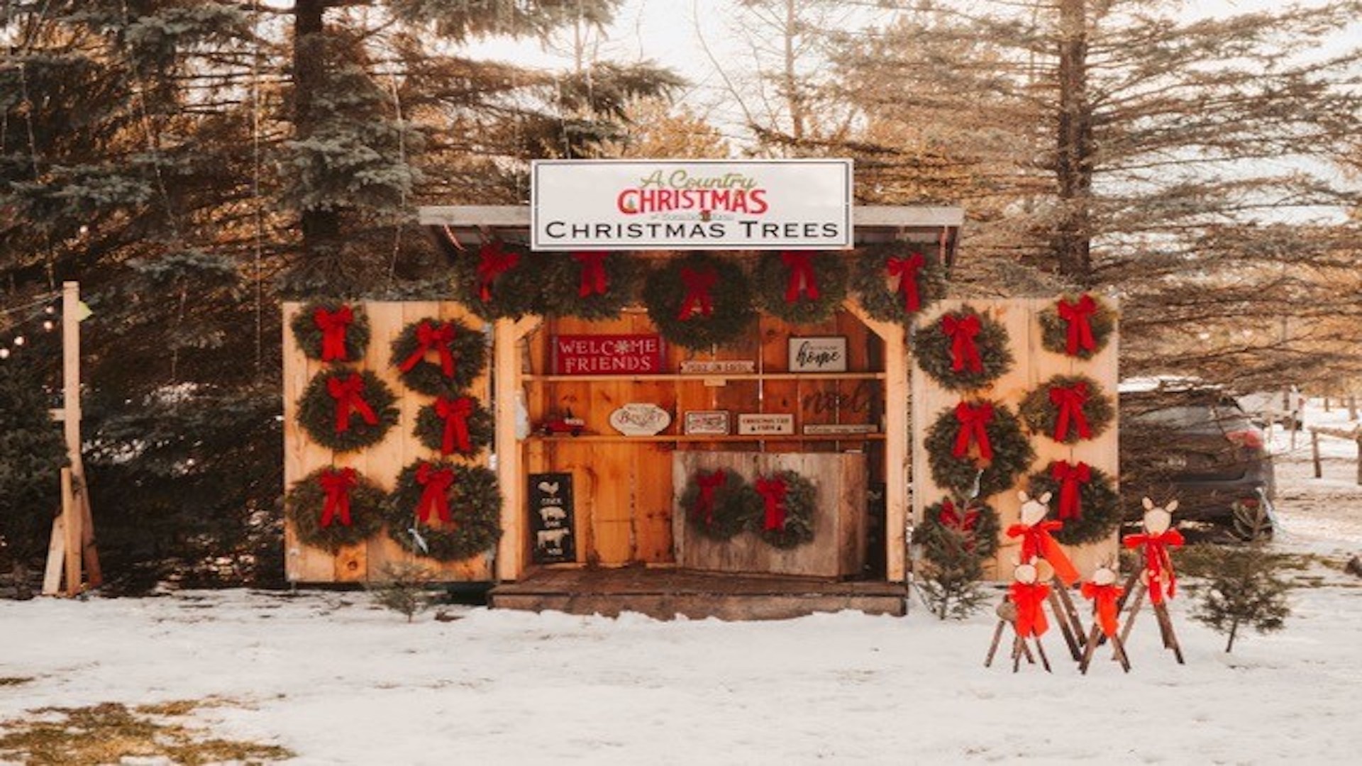 Wreaths with red ribbons at Saunders Farm.