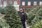 As December arrives, Christmas tree producers, sellers feel the pinch 