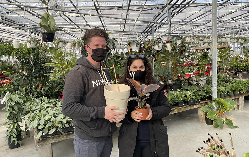 Plant enthusiasts shop for new plants and accessories