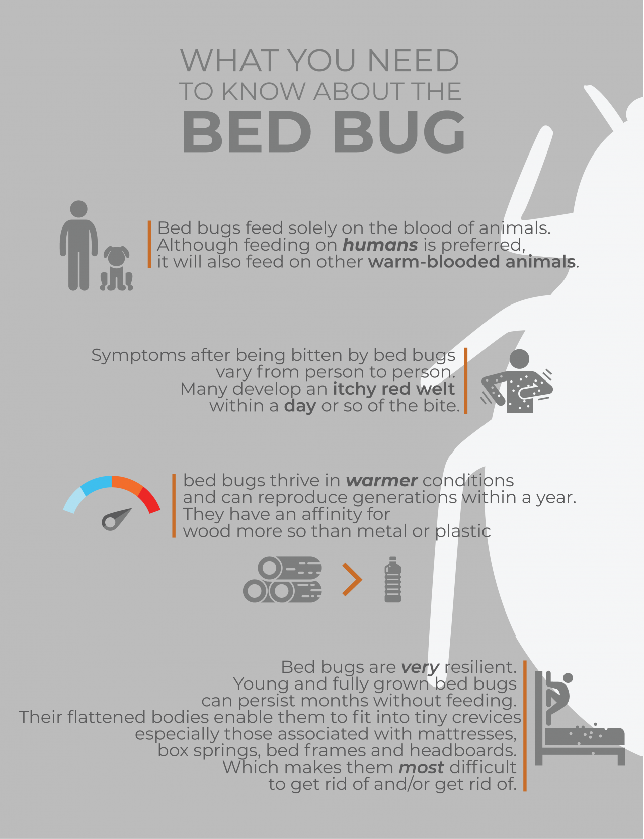 Ottawa’s bed bug invasion | YOW!